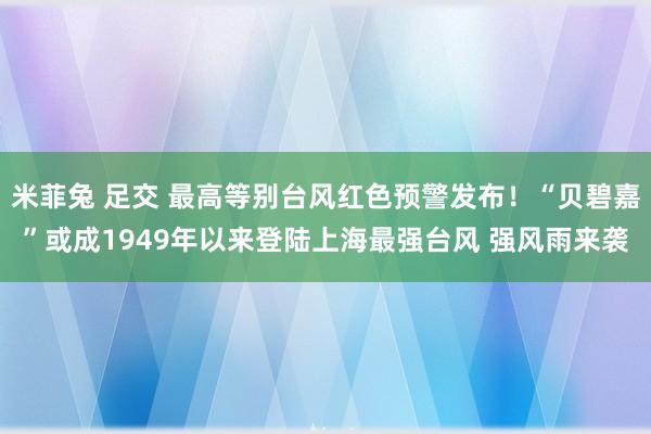 米菲兔 足交 最高等别台风红色预警发布！“贝碧嘉”或成1949年以来登陆上海最强台风 强风雨来袭