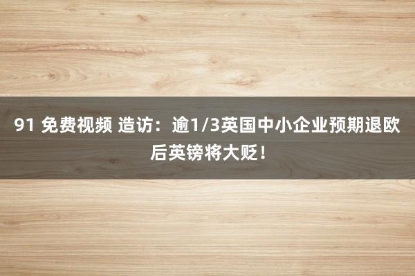 91 免费视频 造访：逾1/3英国中小企业预期退欧后英镑将大贬！