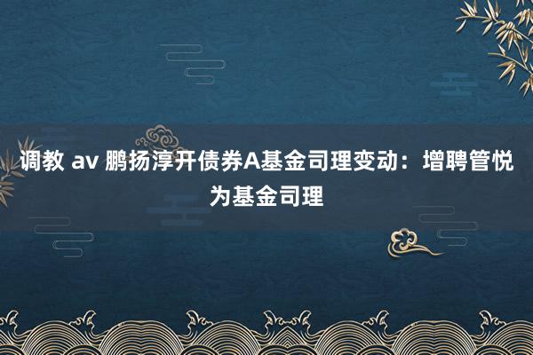 调教 av 鹏扬淳开债券A基金司理变动：增聘管悦为基金司理