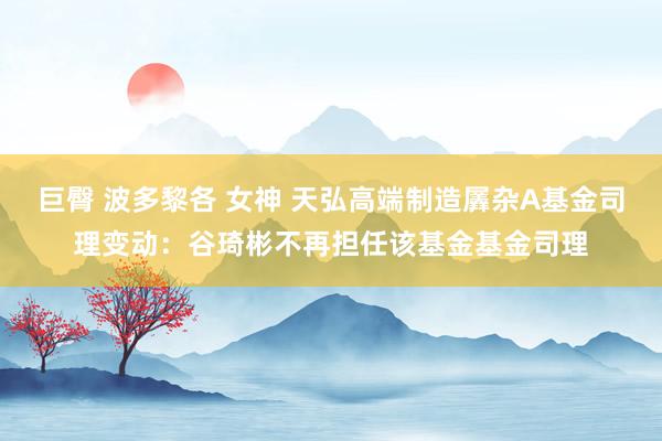 巨臀 波多黎各 女神 天弘高端制造羼杂A基金司理变动：谷琦彬不再担任该基金基金司理