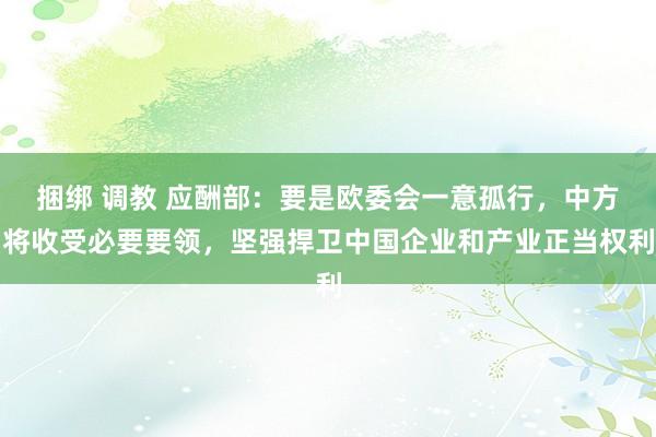 捆绑 调教 应酬部：要是欧委会一意孤行，中方将收受必要要领，坚强捍卫中国企业和产业正当权利