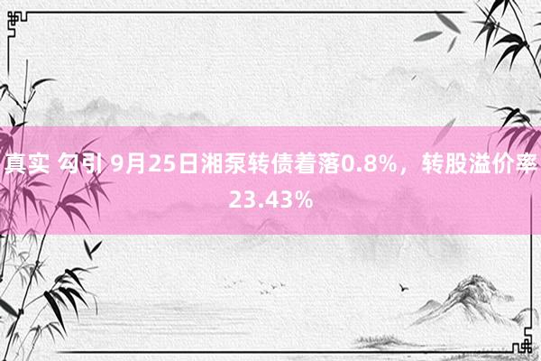 真实 勾引 9月25日湘泵转债着落0.8%，转股溢价率23.43%