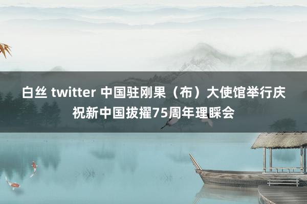 白丝 twitter 中国驻刚果（布）大使馆举行庆祝新中国拔擢75周年理睬会