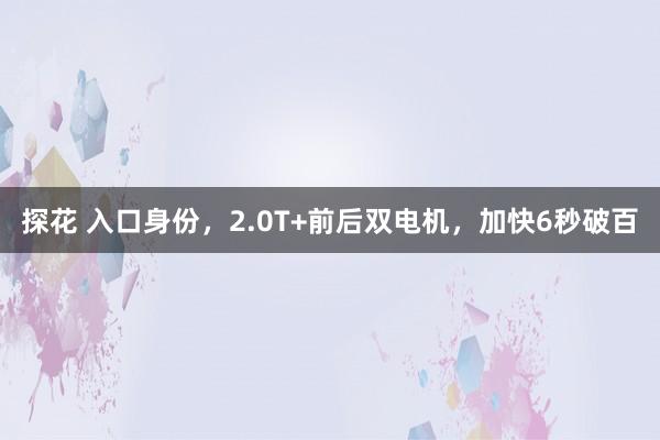 探花 入口身份，2.0T+前后双电机，加快6秒破百