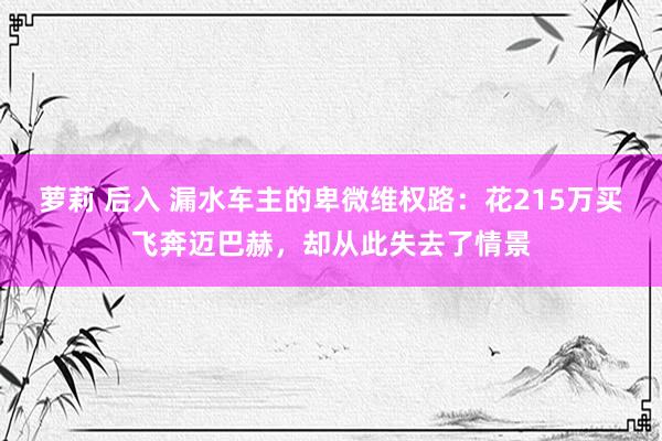 萝莉 后入 漏水车主的卑微维权路：花215万买飞奔迈巴赫，却从此失去了情景