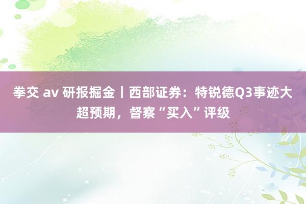 拳交 av 研报掘金丨西部证券：特锐德Q3事迹大超预期，督察“买入”评级