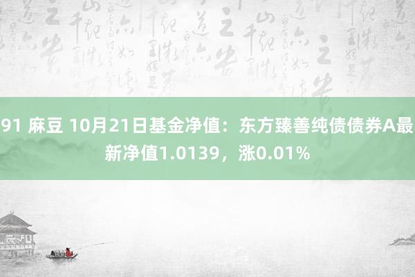 91 麻豆 10月21日基金净值：东方臻善纯债债券A最新净值1.0139，涨0.01%