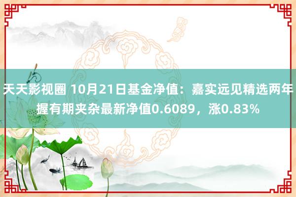 天天影视圈 10月21日基金净值：嘉实远见精选两年握有期夹杂最新净值0.6089，涨0.83%