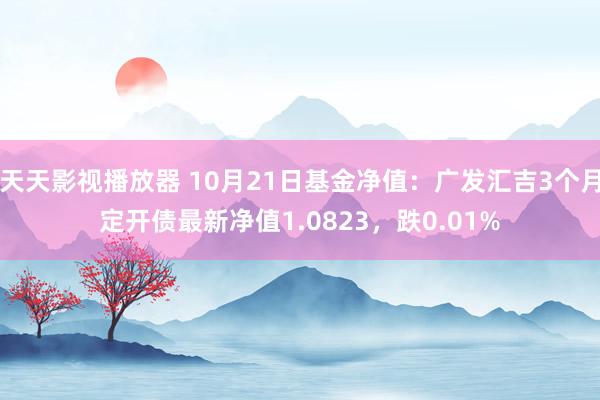 天天影视播放器 10月21日基金净值：广发汇吉3个月定开债最新净值1.0823，跌0.01%