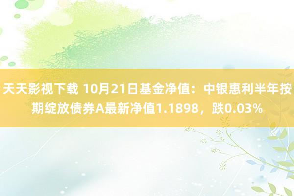 天天影视下载 10月21日基金净值：中银惠利半年按期绽放债券A最新净值1.1898，跌0.03%