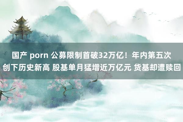 国产 porn 公募限制首破32万亿！年内第五次创下历史新高 股基单月猛增近万亿元 货基却遭赎回