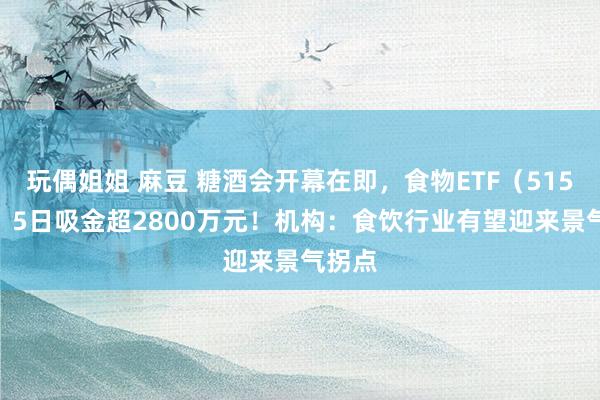 玩偶姐姐 麻豆 糖酒会开幕在即，食物ETF（515710）5日吸金超2800万元！机构：食饮行业有望迎来景气拐点