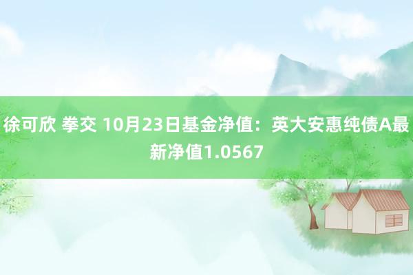 徐可欣 拳交 10月23日基金净值：英大安惠纯债A最新净值1.0567