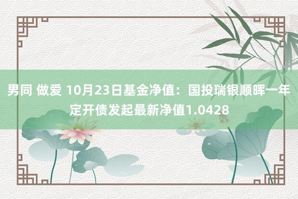 男同 做爱 10月23日基金净值：国投瑞银顺晖一年定开债发起最新净值1.0428