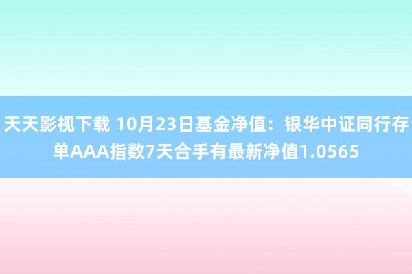 天天影视下载 10月23日基金净值：银华中证同行存单AAA指数7天合手有最新净值1.0565