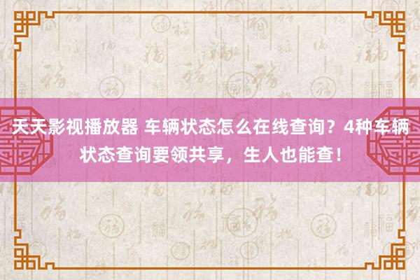 天天影视播放器 车辆状态怎么在线查询？4种车辆状态查询要领共享，生人也能查！