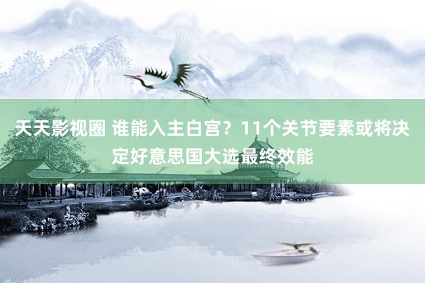 天天影视圈 谁能入主白宫？11个关节要素或将决定好意思国大选最终效能