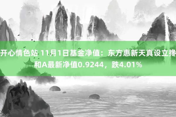 开心情色站 11月1日基金净值：东方惠新天真设立搀和A最新净值0.9244，跌4.01%