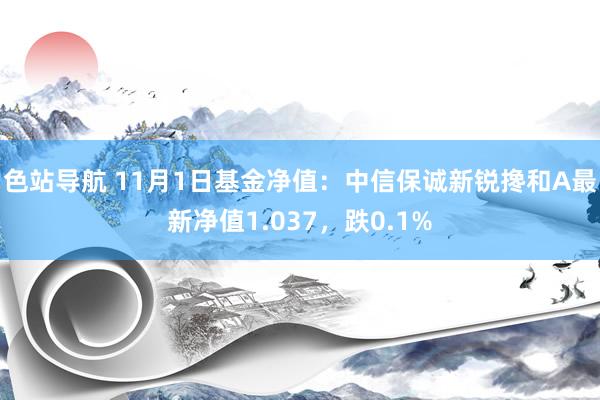 色站导航 11月1日基金净值：中信保诚新锐搀和A最新净值1.037，跌0.1%