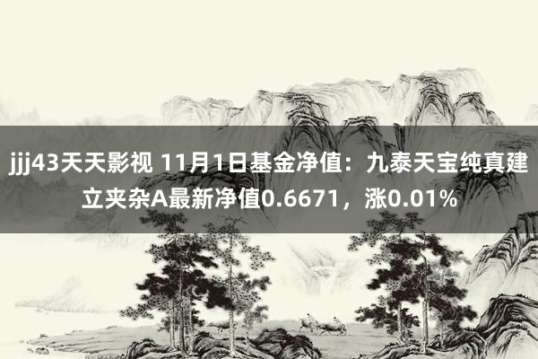 jjj43天天影视 11月1日基金净值：九泰天宝纯真建立夹杂A最新净值0.6671，涨0.01%