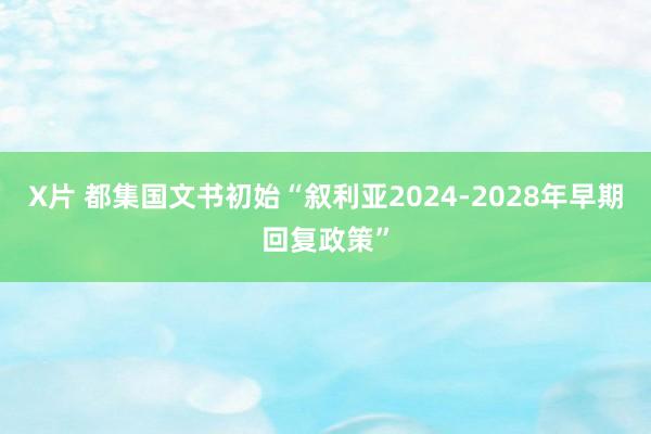 X片 都集国文书初始“叙利亚2024-2028年早期回复政策”