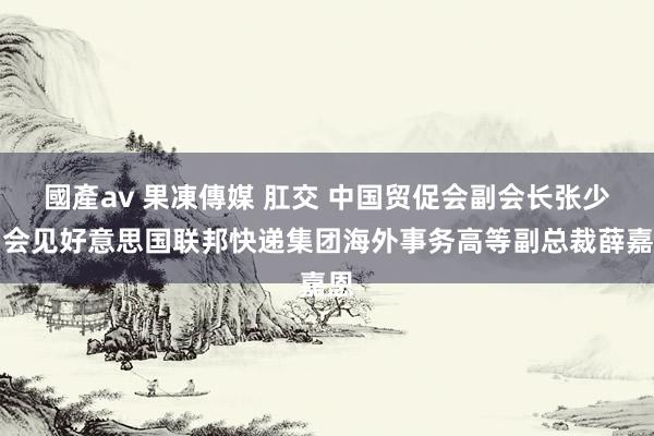 國產av 果凍傳媒 肛交 中国贸促会副会长张少刚会见好意思国联邦快递集团海外事务高等副总裁薛嘉恩