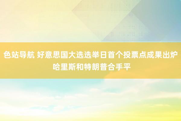 色站导航 好意思国大选选举日首个投票点成果出炉 哈里斯和特朗普合手平