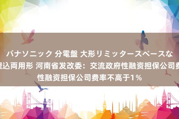 パナソニック 分電盤 大形リミッタースペースなし 露出・半埋込両用形 河南省发改委：交流政府性融资担保公司费率不高于1％