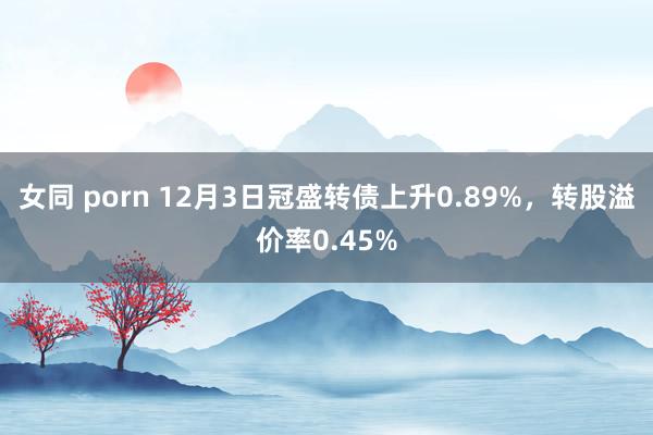 女同 porn 12月3日冠盛转债上升0.89%，转股溢价率0.45%