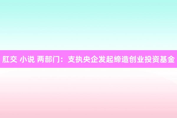 肛交 小说 两部门：支执央企发起缔造创业投资基金