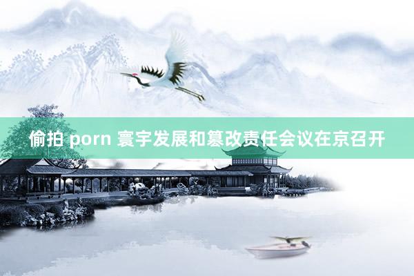 偷拍 porn 寰宇发展和篡改责任会议在京召开