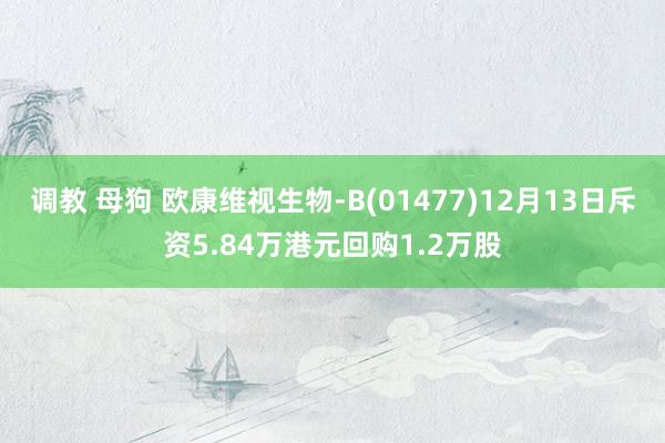 调教 母狗 欧康维视生物-B(01477)12月13日斥资5.84万港元回购1.2万股