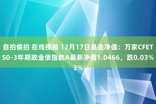 自拍偷拍 在线视频 12月17日基金净值：万家CFETS0-3年期政金债指数A最新净值1.0466，跌0.03%