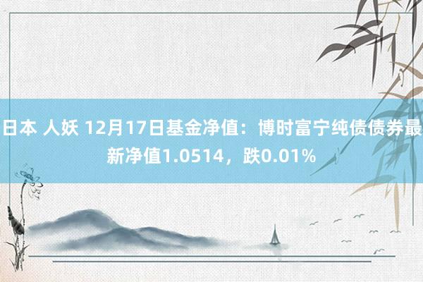 日本 人妖 12月17日基金净值：博时富宁纯债债券最新净值1.0514，跌0.01%