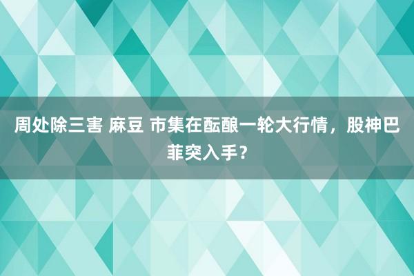 周处除三害 麻豆 市集在酝酿一轮大行情，股神巴菲突入手？