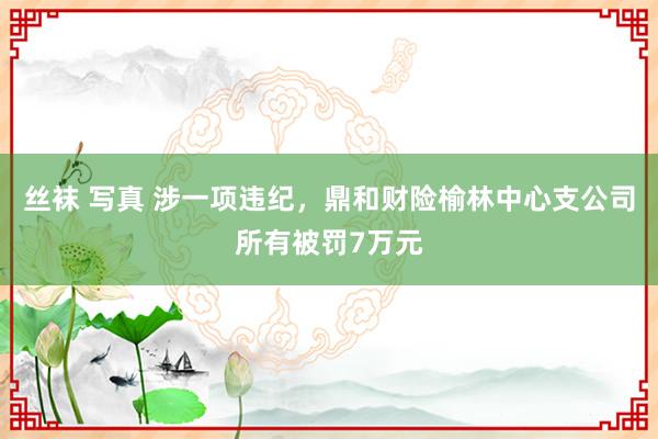 丝袜 写真 涉一项违纪，鼎和财险榆林中心支公司所有被罚7万元