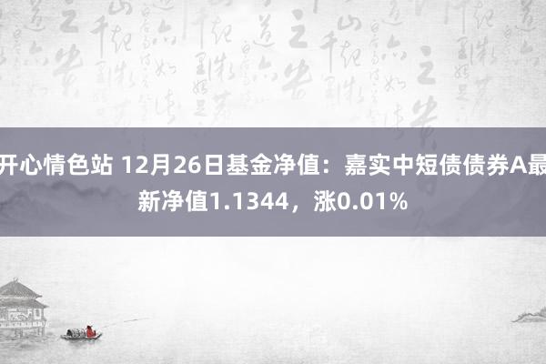 开心情色站 12月26日基金净值：嘉实中短债债券A最新净值1.1344，涨0.01%