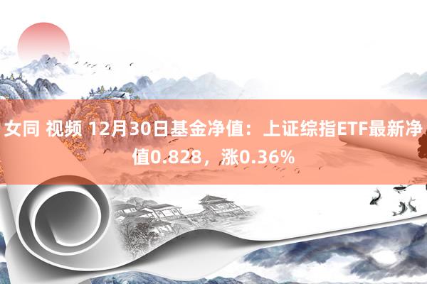 女同 视频 12月30日基金净值：上证综指ETF最新净值0.828，涨0.36%