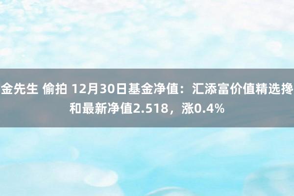 金先生 偷拍 12月30日基金净值：汇添富价值精选搀和最新净值2.518，涨0.4%