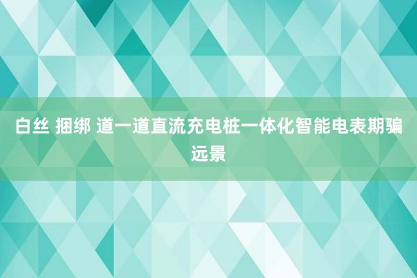 白丝 捆绑 道一道直流充电桩一体化智能电表期骗远景