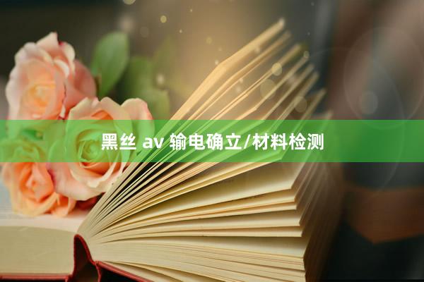 黑丝 av 输电确立/材料检测