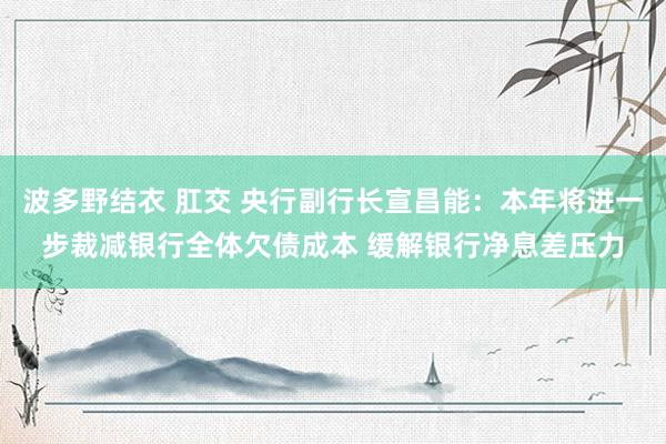 波多野结衣 肛交 央行副行长宣昌能：本年将进一步裁减银行全体欠债成本 缓解银行净息差压力