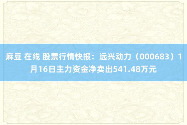 麻豆 在线 股票行情快报：远兴动力（000683）1月16日主力资金净卖出541.48万元